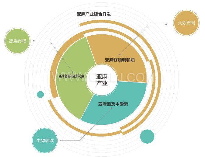 低溫冷榨亞麻籽油設備 開亞麻籽油廠 胡麻籽油精煉成套設備(圖6) 低溫冷榨亞麻籽油設備 開亞麻籽油廠 胡麻籽油精煉成套設備(圖6)