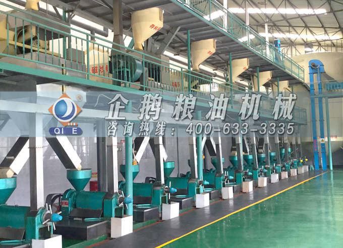 如何降低壓榨花生油中黃曲霉毒素含量？企鵝糧油機械為您提供可靠方法(圖2)