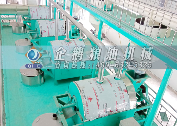 如何降低壓榨花生油中黃曲霉毒素含量？企鵝糧油機械為您提供可靠方法(圖4)