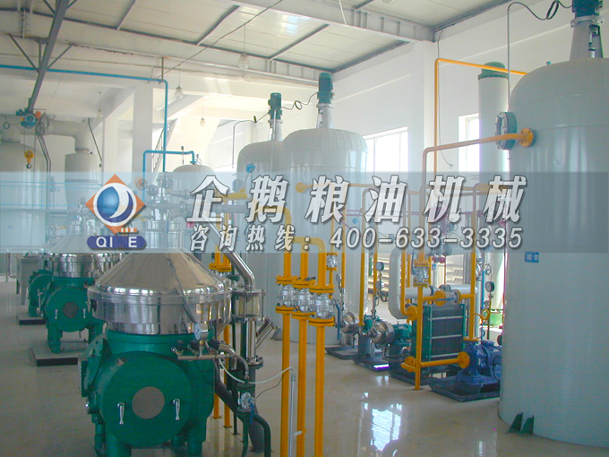 如何投資建設(shè)棕櫚油加工廠？企鵝糧油機(jī)械在線為您答疑解惑(圖2)