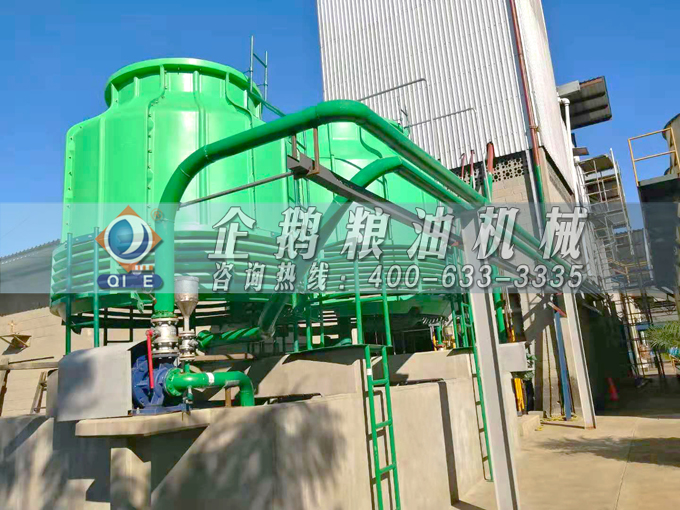 如何投資建設(shè)棕櫚油加工廠？企鵝糧油機(jī)械在線為您答疑解惑(圖3)