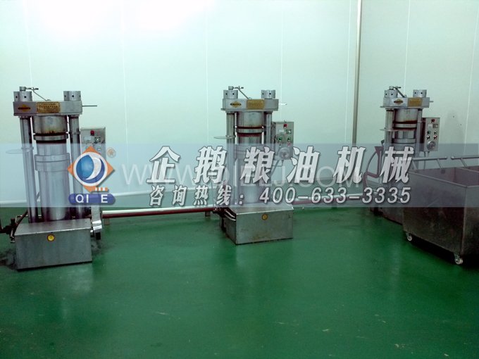 芝麻油壓榨處理設(shè)備，企鵝牌液壓榨油機(jī)勇于創(chuàng)新生產(chǎn)效率高(圖4)