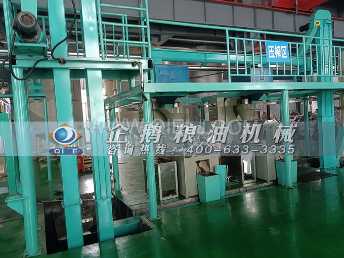 企鵝牌核桃油榨油設(shè)備，生產(chǎn)綠色健康油受大眾喜愛(ài)(圖4)