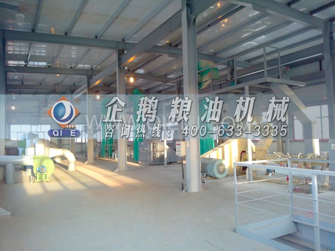 如何提取到高質(zhì)量的大豆油？一條企鵝浸出生產(chǎn)線就足夠了(圖2)