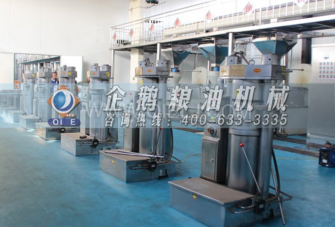 芝麻油提取加工，企鵝糧油機械生產(chǎn)色香味俱佳的油脂(圖3)